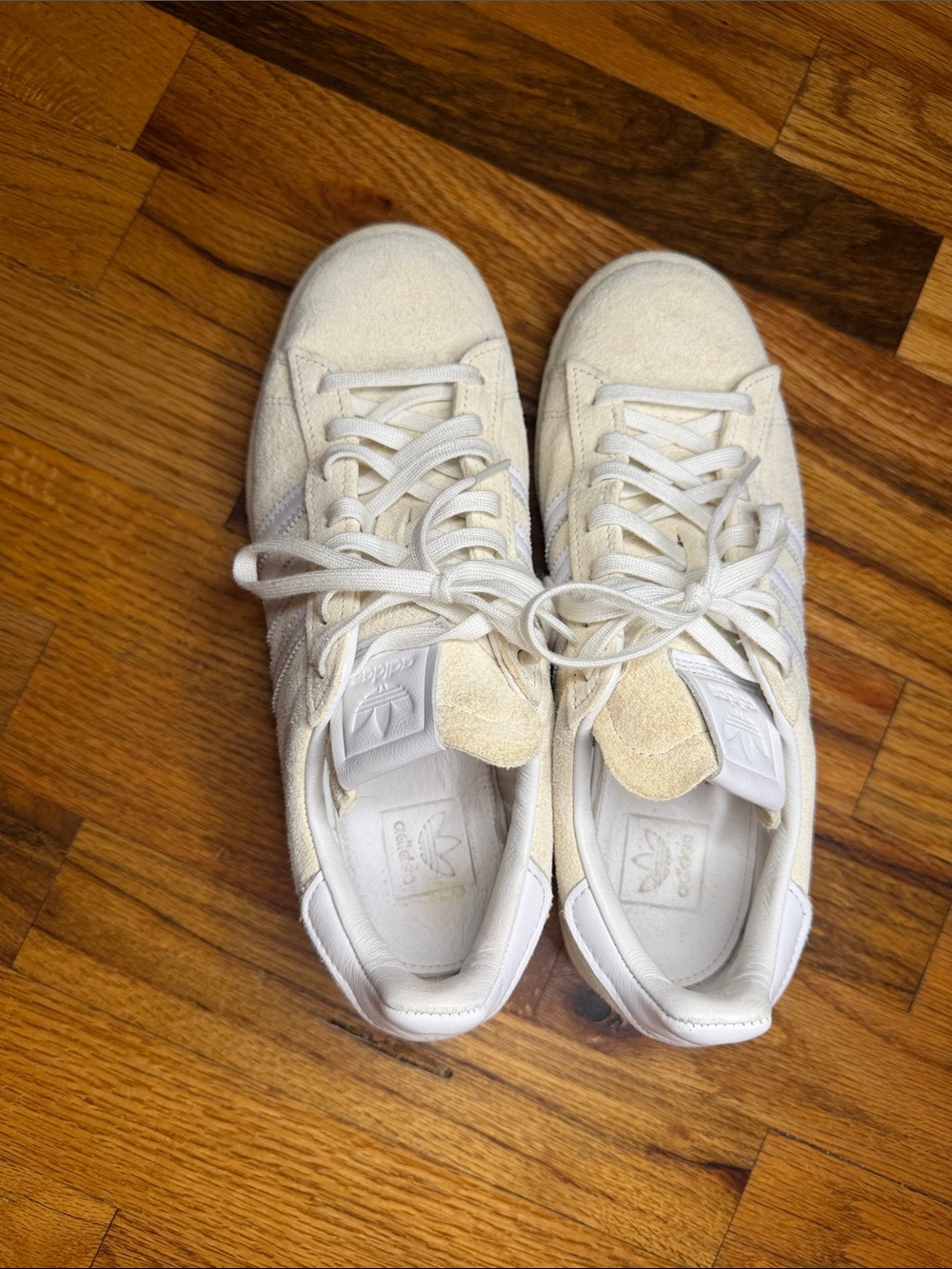 adidas Originals Campus Off White Suede Low-Top Sneakers - Picture 4 of 8